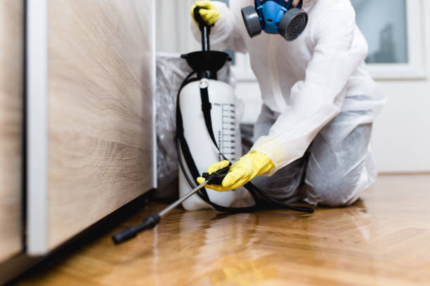 Best Emergency Pest Control  in Huntgburg, IN