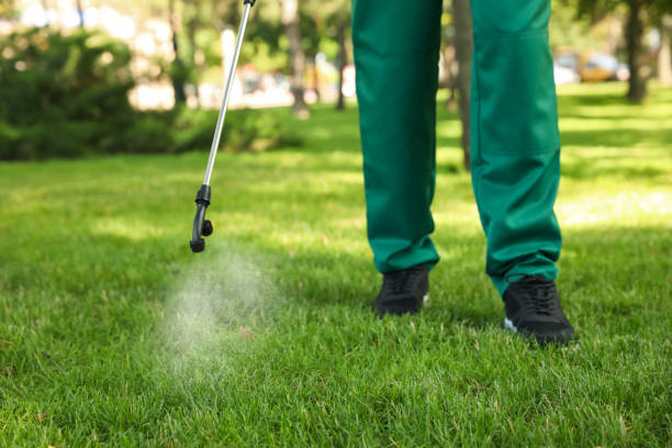 Best Affordable Pest Control Services  in Huntgburg, IN