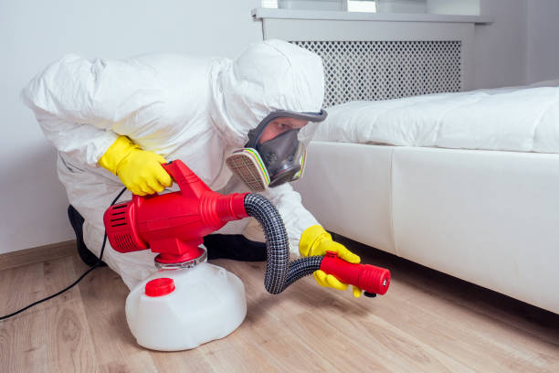 Best Flea Control Services  in Huntgburg, IN