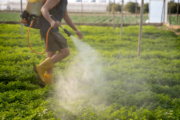 Best Best Pest Control Companies  in Huntgburg, IN