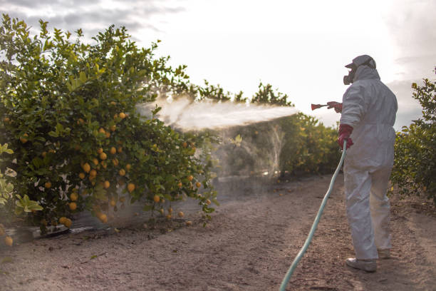 Best Best Pest Control Companies  in Huntgburg, IN