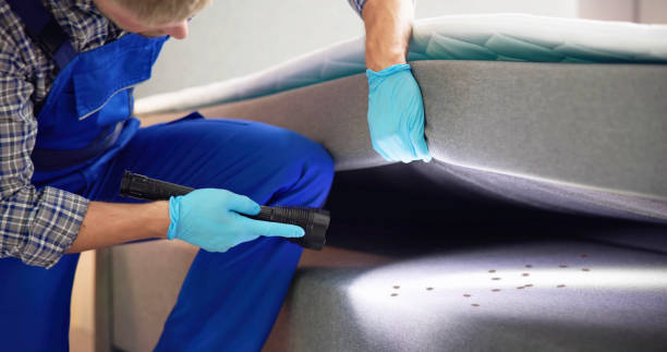 Best Pest Control Treatment  in Huntgburg, IN