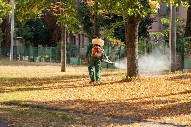 Best Local Pest Control Services  in Huntgburg, IN