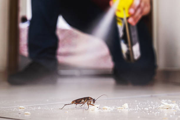Best Affordable Exterminators  in Huntgburg, IN