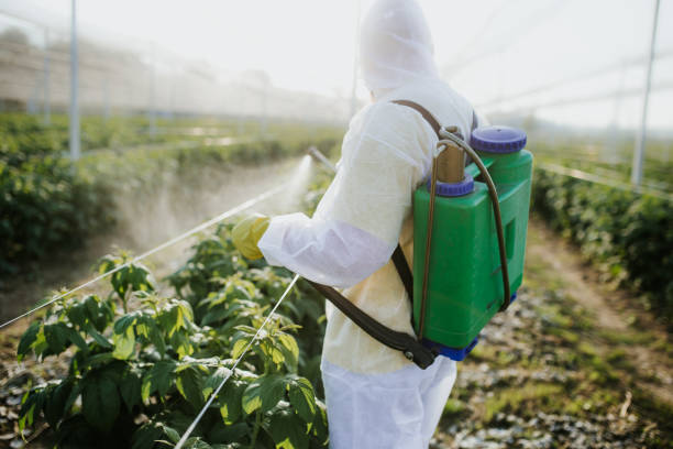 Best Pest Inspection Near Me  in Huntgburg, IN